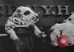 Image of nine mascot pups New York United States USA, 1940, second 28 stock footage video 65675056285