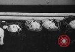 Image of nine mascot pups New York United States USA, 1940, second 39 stock footage video 65675056285