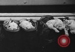 Image of nine mascot pups New York United States USA, 1940, second 42 stock footage video 65675056285