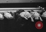 Image of nine mascot pups New York United States USA, 1940, second 44 stock footage video 65675056285