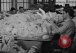 Image of little sister dolls Long Island New York USA, 1940, second 5 stock footage video 65675056287