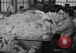 Image of little sister dolls Long Island New York USA, 1940, second 6 stock footage video 65675056287