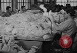 Image of little sister dolls Long Island New York USA, 1940, second 7 stock footage video 65675056287