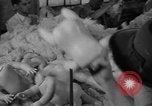 Image of little sister dolls Long Island New York USA, 1940, second 11 stock footage video 65675056287