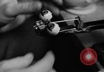 Image of little sister dolls Long Island New York USA, 1940, second 14 stock footage video 65675056287