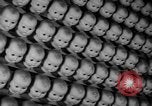 Image of little sister dolls Long Island New York USA, 1940, second 28 stock footage video 65675056287