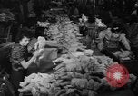 Image of little sister dolls Long Island New York USA, 1940, second 55 stock footage video 65675056287