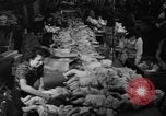 Image of little sister dolls Long Island New York USA, 1940, second 56 stock footage video 65675056287