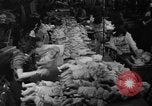 Image of little sister dolls Long Island New York USA, 1940, second 57 stock footage video 65675056287