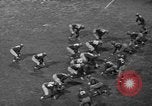 Image of Pro football match New York City USA, 1940, second 56 stock footage video 65675056289