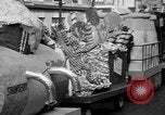 Standbild Weihnachten Prozessionen Hollywood Los Angeles California USA, 1947, aus Sekunde 10 historischem Filmmaterial Videoclip 65675056297