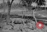 Standbild Hibok-Hobok Vulkan ausbricht Camiguin Philippinen, 1951, aus Sekunde 57 historischem Filmmaterial Videoclip 65675056305