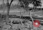 Standbild Hibok-Hobok Vulkan ausbricht Camiguin Philippinen, 1951, aus Sekunde 58 historischem Filmmaterial Videoclip 65675056305