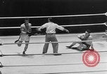 Image of White Hope Boxing Tournament Toronto Ontario Canada, 1951, second 47 stock footage video 65675056309