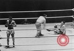 Image of White Hope Boxing Tournament Toronto Ontario Canada, 1951, second 48 stock footage video 65675056309