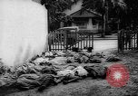 Immagine di Crisi del Congo Stanleyville Congo, 1964, secondo 55 filmato di repertorio 65675056311