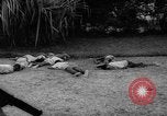 Immagine di Crisi del Congo Stanleyville Congo, 1964, secondo 62 filmato di repertorio 65675056311