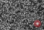 Immagine di USC contro Notre Dame football 1964 Los Angeles California USA, 1964, secondo 50 filmato di repertorio 65675056314