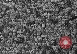 Immagine di USC contro Notre Dame football 1964 Los Angeles California USA, 1964, secondo 51 filmato di repertorio 65675056314