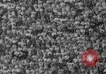 Immagine di USC contro Notre Dame football 1964 Los Angeles California USA, 1964, secondo 52 filmato di repertorio 65675056314