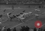Immagine di Giants versus Browns New York City USA, 1964, secondo 40 filmato di repertorio 65675056316