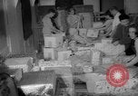 Image of Christmas shopping New York City USA, 1965, second 54 stock footage video 65675056319