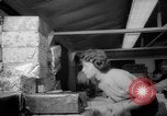 Image of Christmas shopping New York City USA, 1965, second 59 stock footage video 65675056319