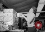 Image of Christmas shopping New York City USA, 1965, second 60 stock footage video 65675056319