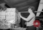 Image of Christmas shopping New York City USA, 1965, second 61 stock footage video 65675056319