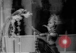 Standbild Weihnachten feiern New York City USA, 1965, aus Sekunde 49 historischem Filmmaterial Videoclip 65675056323