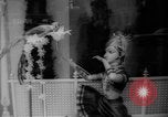 Standbild Weihnachten feiern New York City USA, 1965, aus Sekunde 50 historischem Filmmaterial Videoclip 65675056323