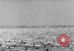 Standbild deutsche Armee verteidigt gegen die Alliierten in der Normandie Frankreich, 1944, aus Sekunde 38 historischem Filmmaterial Videoclip 65675056324