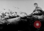 Immagine di In Germania le forze di difendere contro gli alleati in Normandia Francia, 1944, secondo 5 filmato di repertorio 65675056326