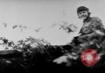 Immagine di In Germania le forze di difendere contro gli alleati in Normandia Francia, 1944, secondo 6 filmato di repertorio 65675056326