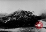 Immagine di In Germania le forze di difendere contro gli alleati in Normandia Francia, 1944, secondo 8 filmato di repertorio 65675056326