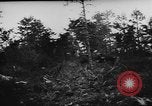 Standbild deutsche militärische Invasion St. Lo Frankreich, 1944, aus Sekunde 26 historischem Filmmaterial Videoclip 65675056330