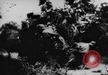 Standbild deutsche militärische Invasion St. Lo Frankreich, 1944, aus Sekunde 38 historischem Filmmaterial Videoclip 65675056330