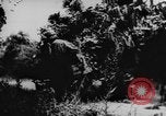 Standbild deutsche militärische Invasion St. Lo Frankreich, 1944, aus Sekunde 39 historischem Filmmaterial Videoclip 65675056330