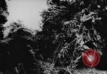 Standbild deutsche militärische Invasion St. Lo Frankreich, 1944, aus Sekunde 41 historischem Filmmaterial Videoclip 65675056330