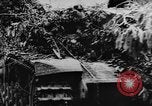 Standbild deutsche militärische Invasion St. Lo Frankreich, 1944, aus Sekunde 49 historischem Filmmaterial Videoclip 65675056330