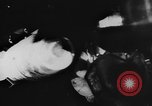 Image of Huge bombs fastened on German Dornier 17 bomber Europe, 1944, second 38 stock footage video 65675056331