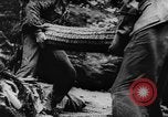 Image of German troops defending against Allies in Normandy France, 1944, second 9 stock footage video 65675056332