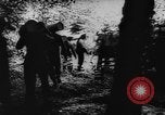 Image of German troops defending against Allies in Normandy France, 1944, second 17 stock footage video 65675056332