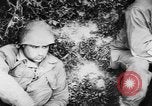 Image of American prisoners of war France, 1944, second 24 stock footage video 65675056333