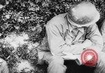 Image of American prisoners of war France, 1944, second 25 stock footage video 65675056333