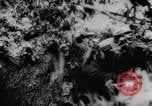 Image of Fires burning in French towns France, 1944, second 62 stock footage video 65675056334
