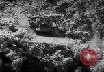 Standbild deutschen Rüstung getarnt mit Laub Frankreich, 1944, aus Sekunde 13 historischem Filmmaterial Videoclip 65675056340