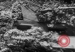 Standbild deutschen Rüstung getarnt mit Laub Frankreich, 1944, aus Sekunde 14 historischem Filmmaterial Videoclip 65675056340