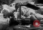 Standbild deutschen Rüstung getarnt mit Laub Frankreich, 1944, aus Sekunde 18 historischem Filmmaterial Videoclip 65675056340