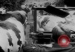 Standbild deutschen Rüstung getarnt mit Laub Frankreich, 1944, aus Sekunde 20 historischem Filmmaterial Videoclip 65675056340